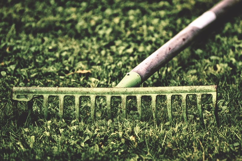 Mindful Raking